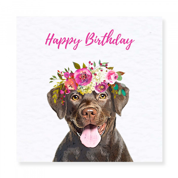 Chocolate Labrador Birthday Card Handmade